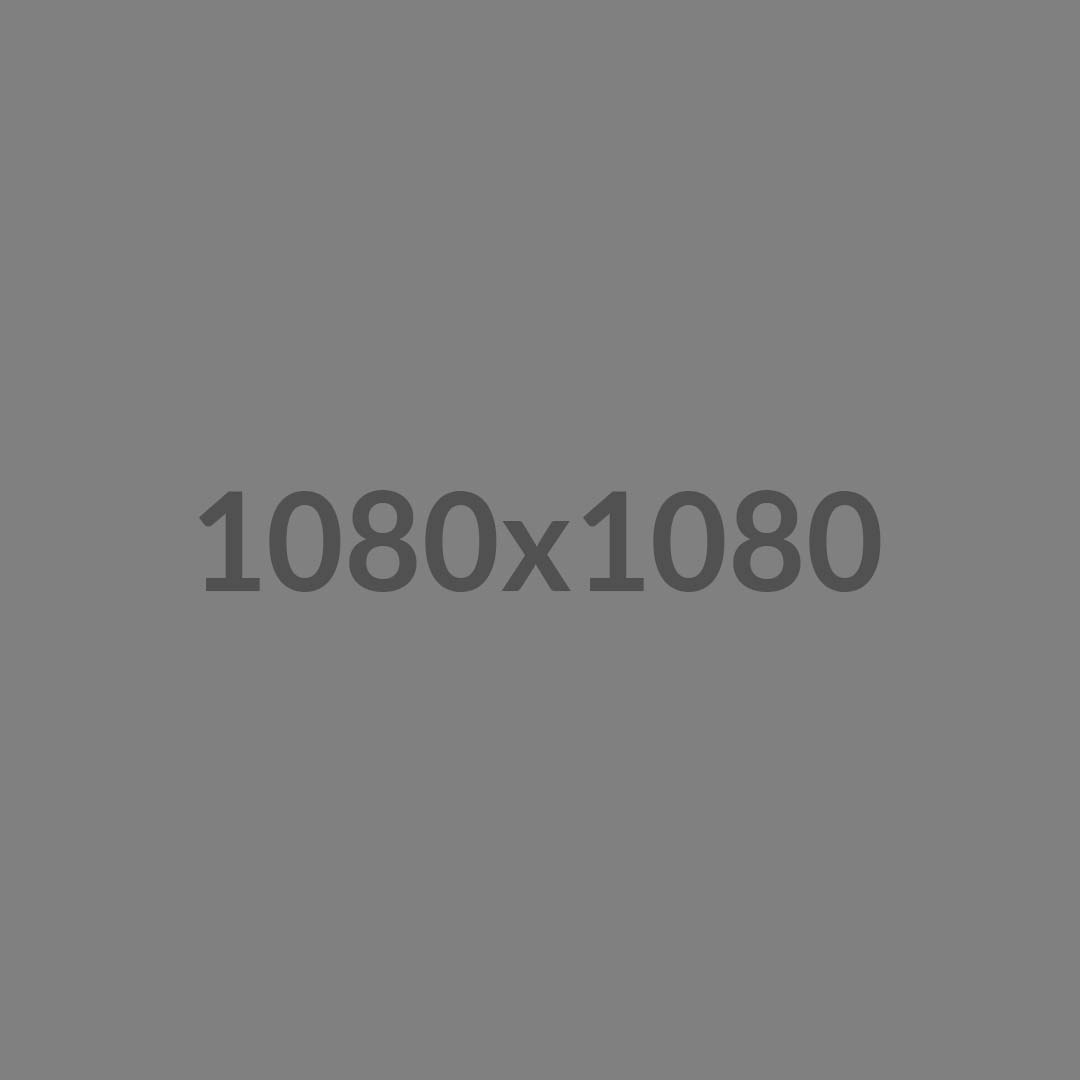 Chef de projet / Scrum Master